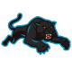 Panthers Wire Logo