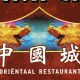 Chinese Restaurant China City Lisse Vivaldistraat 33 2162aa Lisse Tel 0252 42 96 38
