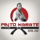 KARATE NEWS – PINTO KARATE DOJO