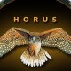 horusvision.wordpress.com