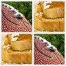 Football & French Toast