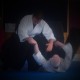 theaikidowarrior.com