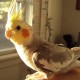 bondedwithtiels.wordpress.com