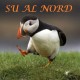 norvegiani.wordpress.com